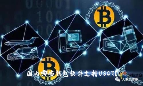 国内哪些钱包软件支持USDT？