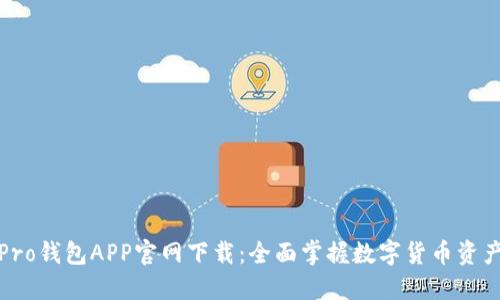 波宝Pro钱包APP官网下载:全面掌握数字货币资产管理