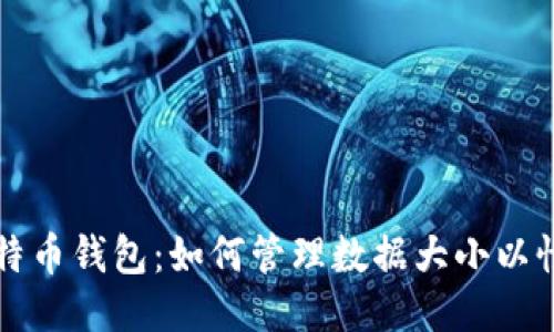 比特币钱包:如何管理数据大小以性能