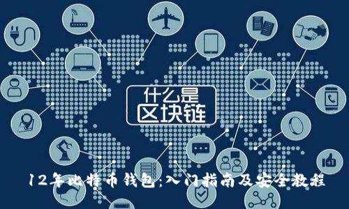 12年比特币钱包:入门指南及安全教程