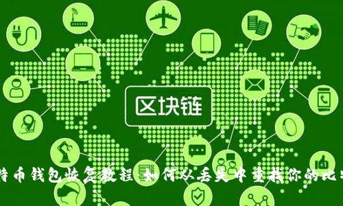 比特币钱包恢复教程:如何从丢失中重找你的比特币