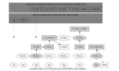 如何下载比特币钱包官方版本?BTC钱包下载
