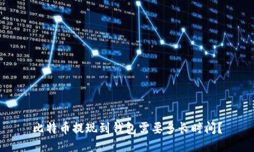 比特币提现到钱包需要多长时间?
