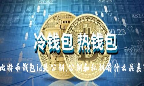 比特币钱包id是公钥,公钥和私钥有什么关系?