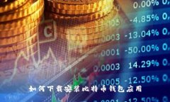 如何下载安装比特币钱包应用