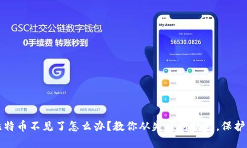 钱包里的比特币不见了怎么办?教你从失窃到恢复,保护比特币安全