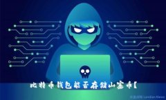 比特币钱包能否存储山寨币?