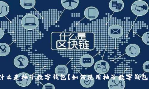 什么是柚子数字钱包?如何使用柚子数字钱包?