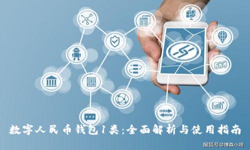 数字人民币钱包1类：全面解析与使用指南