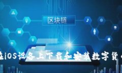 如何在iOS设备上下载和安装数字货币钱包