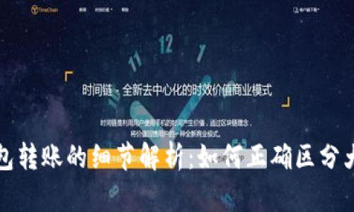 冷钱包转账的细节解析：如何正确区分大小写