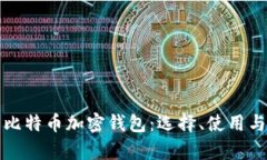 全面解析比特币加密钱包：选择、使用与安全防