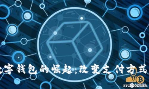 非洲数字钱包的崛起：改变支付方式的图景