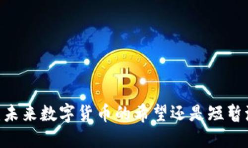 Pi币：未来数字货币的希望还是短暂泡沫？