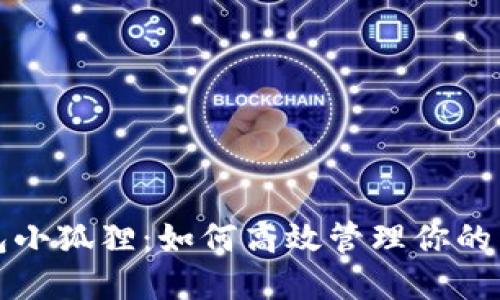 数字钱包小狐狸：如何高效管理你的虚拟资产