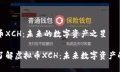 虚拟币XCH：未来的数字资产之星深入了解虚拟币