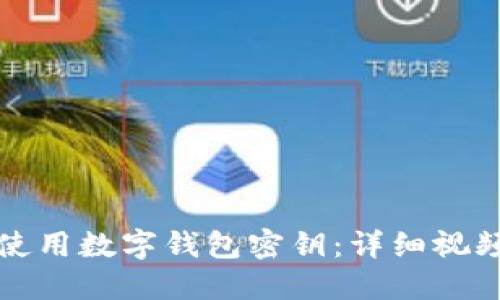 如何使用数字钱包密钥：详细视频教程