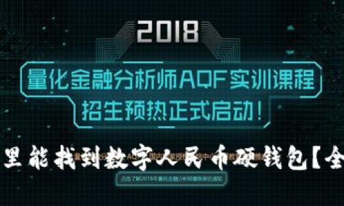 宁波哪里能找到数字人民币硬钱包？全面指南