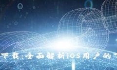 USDT钱包官方下载：全面解析iOS用户的下载与使用