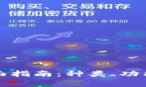 数字钱包的全面指南：种类、功能与安全性分析