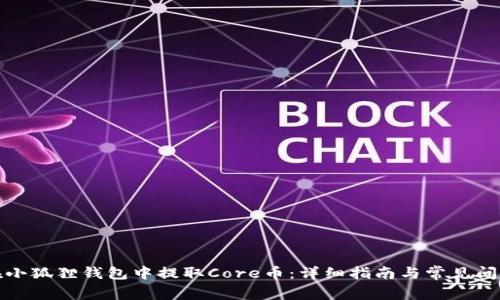 如何在小狐狸钱包中提取Core币：详细指南与常见问题解答