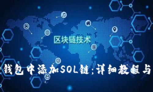如何在小狐狸钱包中添加SOL链：详细教程与常见问题解答