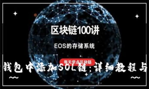 如何在小狐狸钱包中添加SOL链：详细教程与常见问题解答