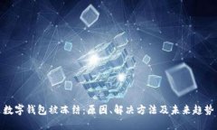 数字钱包被冻结：原因、解决方法及未来趋势