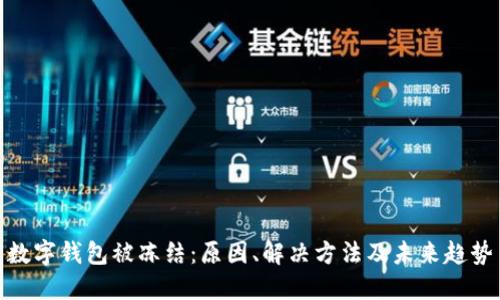 数字钱包被冻结：原因、解决方法及未来趋势