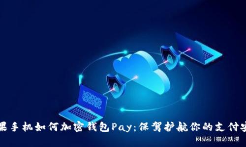 苹果手机如何加密钱包Pay：保驾护航你的支付安全