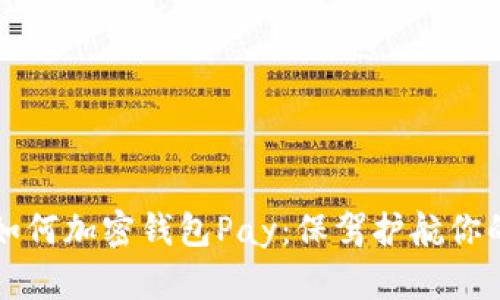 苹果手机如何加密钱包Pay：保驾护航你的支付安全