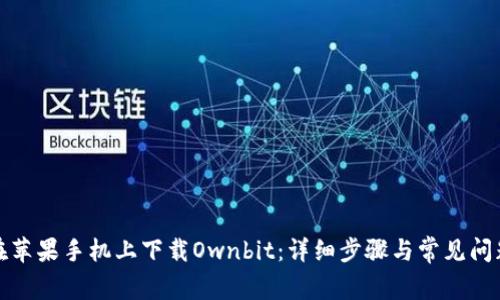 如何在苹果手机上下载Ownbit：详细步骤与常见问题解答