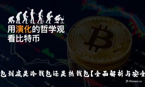 TP钱包到底是冷钱包还是热钱包？全面解析与安全提示