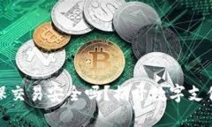 数字钱包担保交易安全吗？揭开数字支付的安全