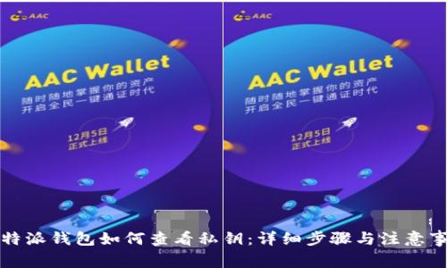 比特派钱包如何查看私钥：详细步骤与注意事项