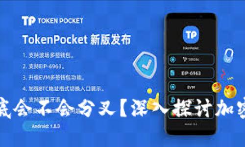 冷钱包里的币到底会不会分叉?深入探讨加密货币的分叉问题