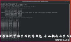 如何在深圳罗湖使用数字钱包：全面指南与使用