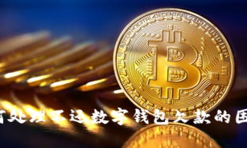 如何处理不还数字钱包欠款的困扰？