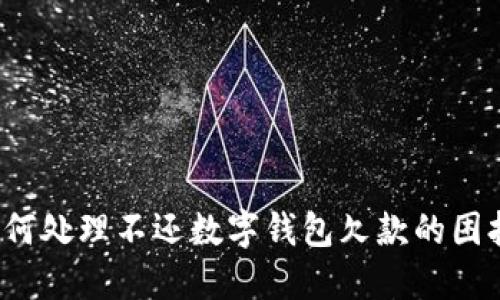 如何处理不还数字钱包欠款的困扰？
