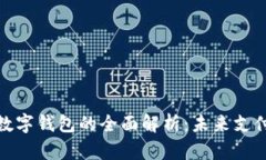 数字人民币与数字钱包的全面解析:未来支付的