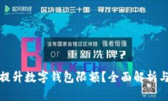如何有效提升数字钱包限额?全面解析与实用技