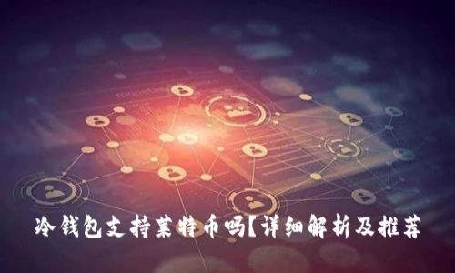 冷钱包支持莱特币吗？详细解析及推荐