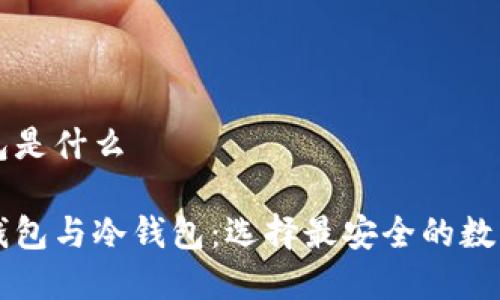 电子钱包冷钱包是什么

深入解析电子钱包与冷钱包：选择最安全的数字资产存储方式