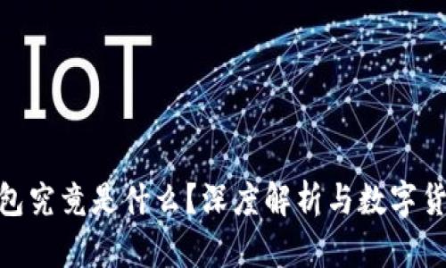 Gopay钱包究竟是什么？深度解析与数字货币的关系