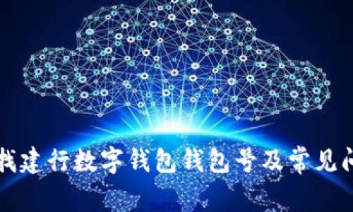 如何查找建行数字钱包钱包号及常见问题解析