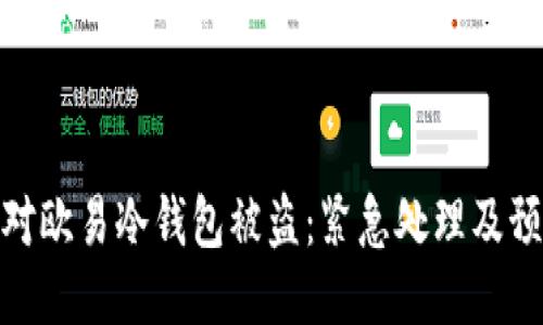 如何应对欧易冷钱包被盗:紧急处理及预防措施