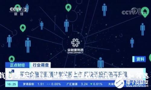 冷钱包与硬件钱包的安全性探讨:我们该如何选择?