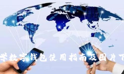 清华大学数字钱包使用指南及图片下载资源