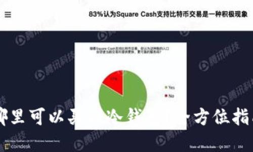 国内在哪里可以买到冷钱包？全方位指南及推荐