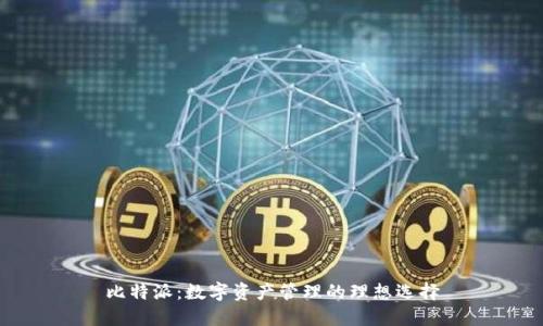 比特派：数字资产管理的理想选择